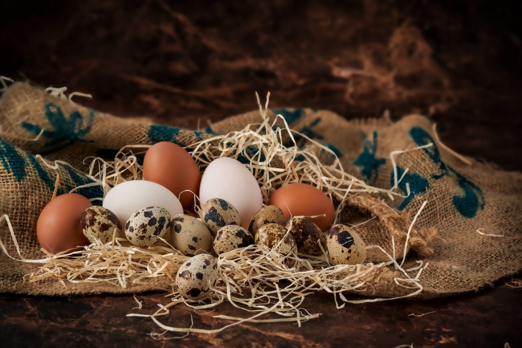 Eggs & Dairy