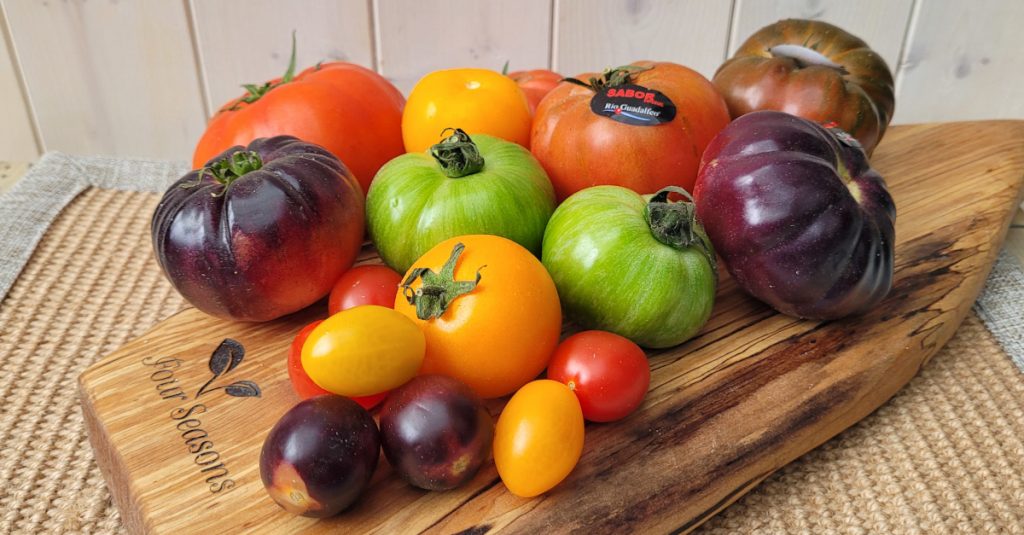 mixed heritage tomatoes