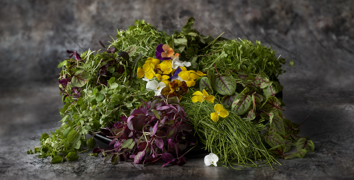 Micro Herbs Greens and edible flowers
