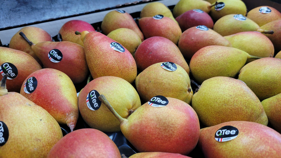 Blush Pears
