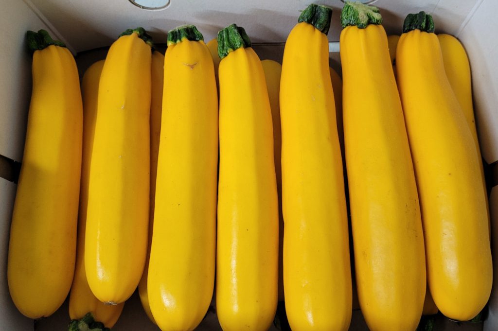 Yellow Courgettes Four Seasons Fruiterers