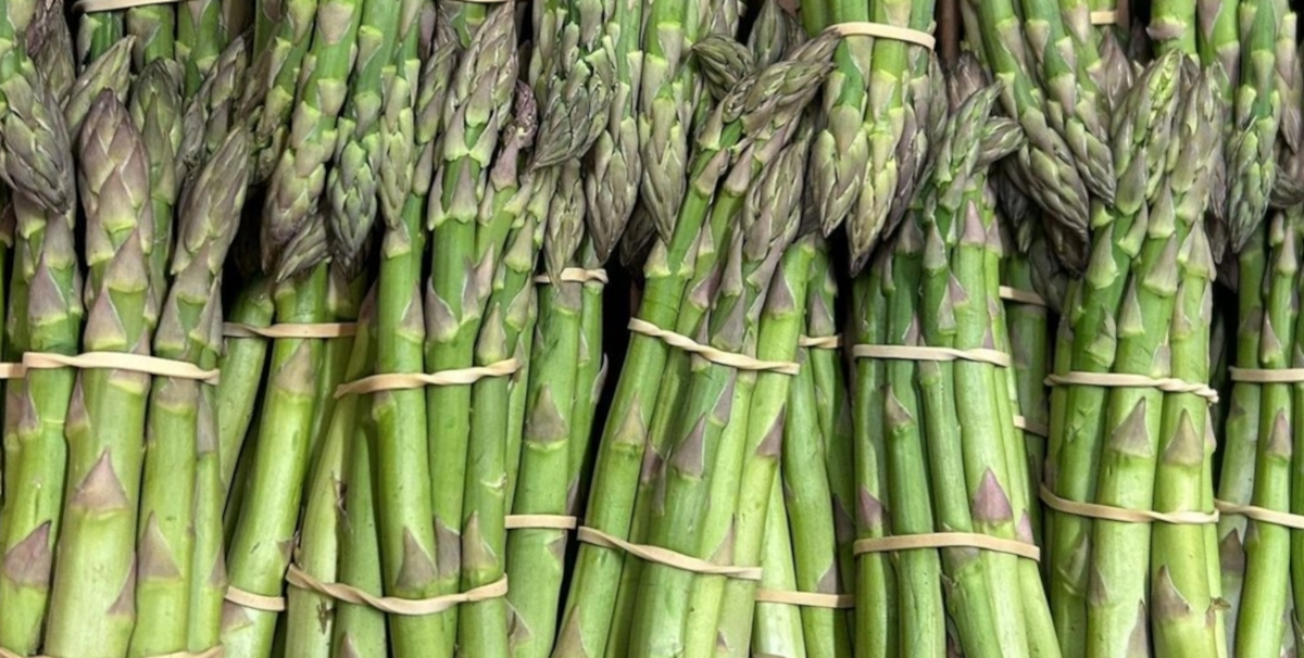 April crop report