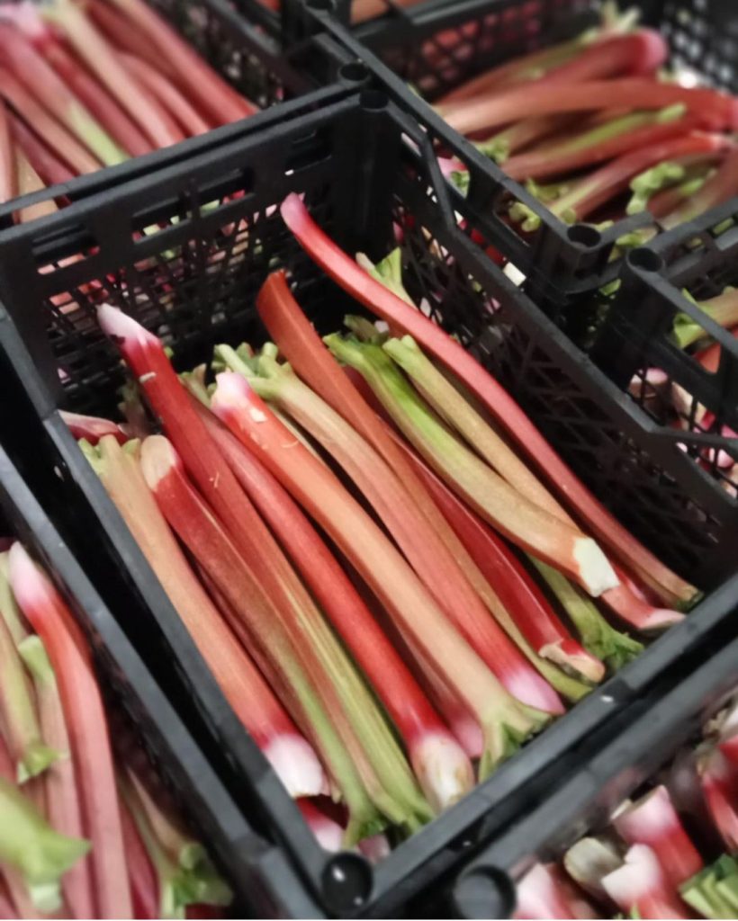 seasonal produce