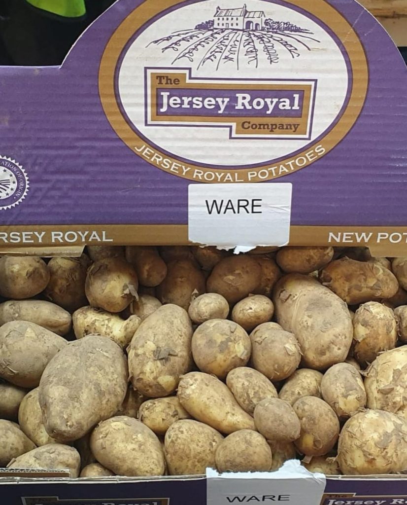April crop report
