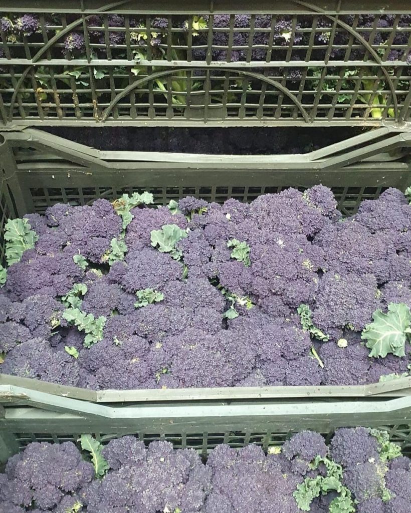 seasonal produce