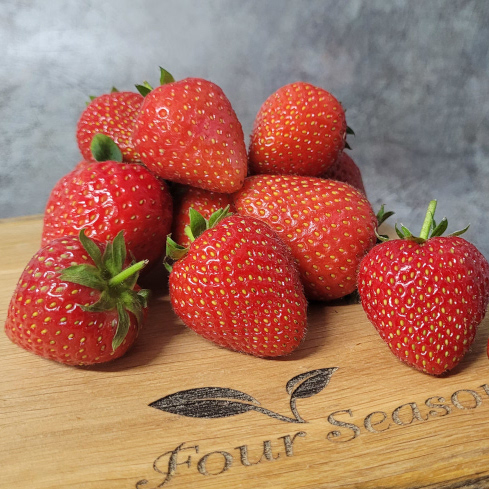 March crop report
