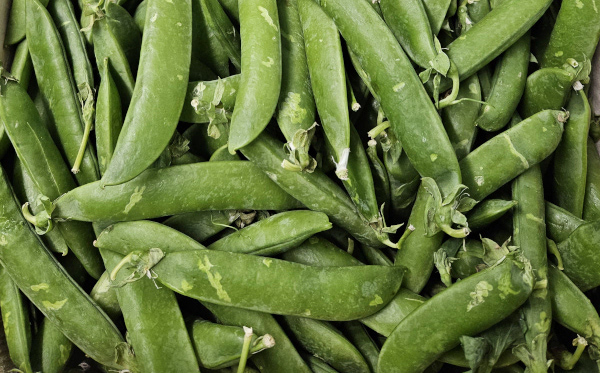 May crop report