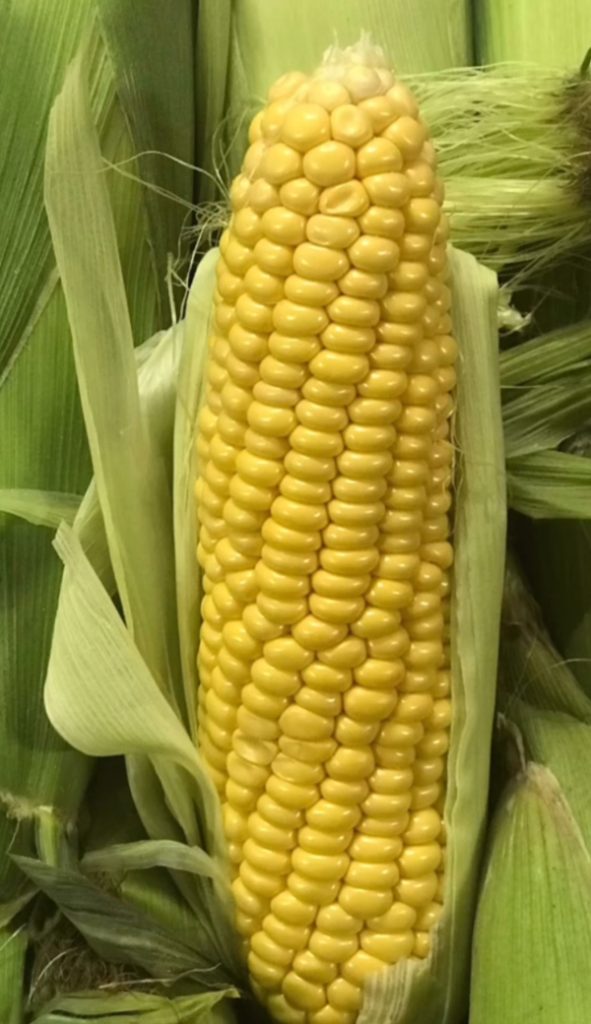 July crop report