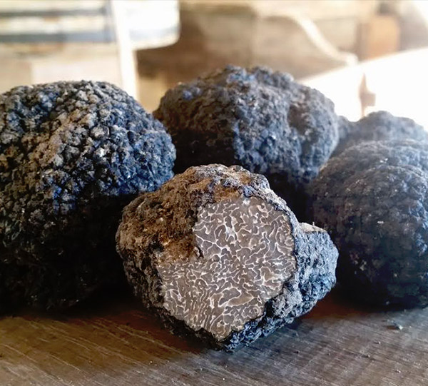 British Autumn truffles
