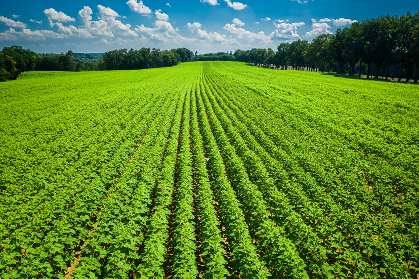 EU farmer strikes