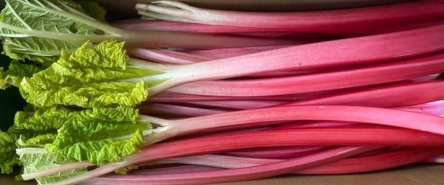 Seasonal Fruit in February