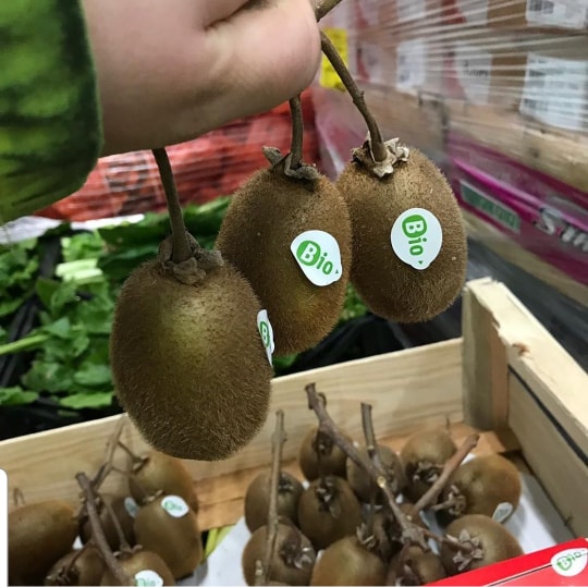 Seasonal Fruit in February
