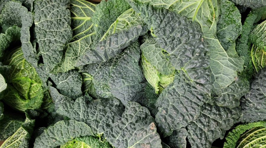 seasonal vegetables february