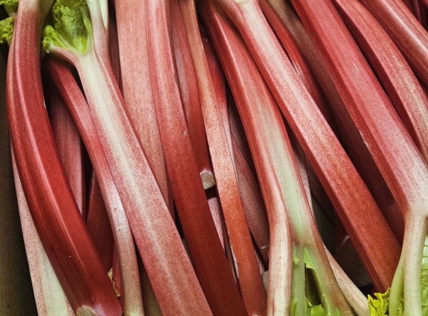 The Best UK Seasonal Fruit