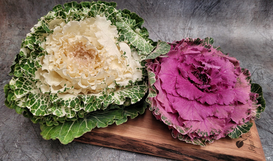 seasonal vegetables february