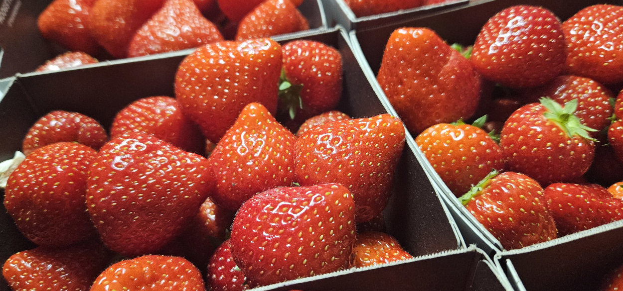 British Seasonal Fruit in May