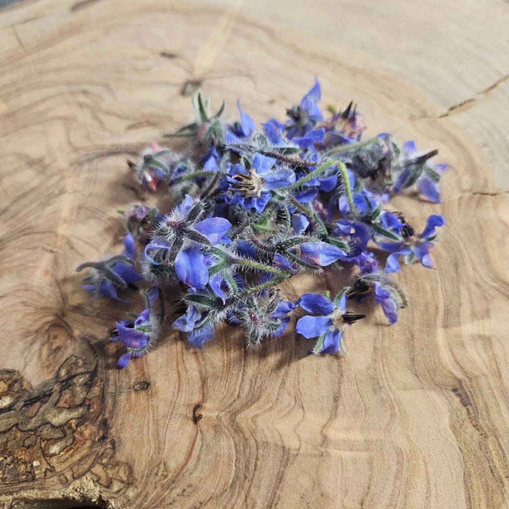 edible flowers