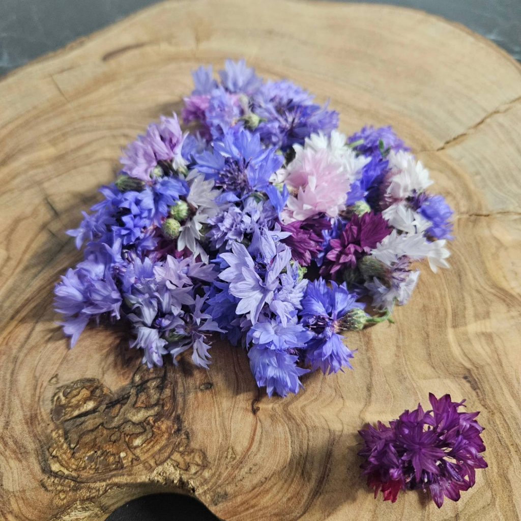 edible flowers