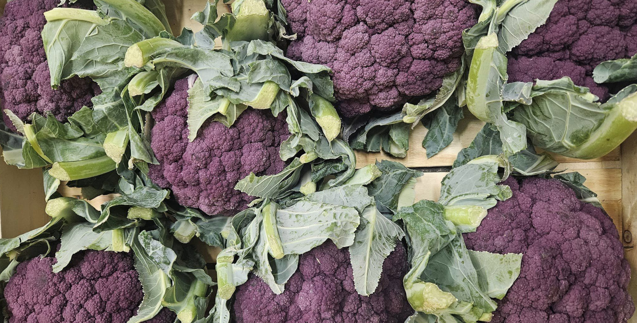 Purple Cauliflower