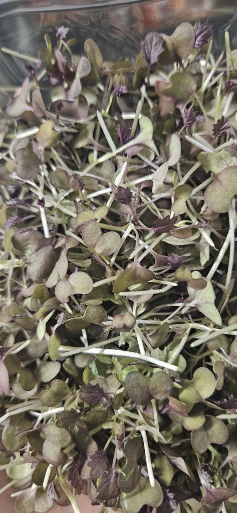 microherbs