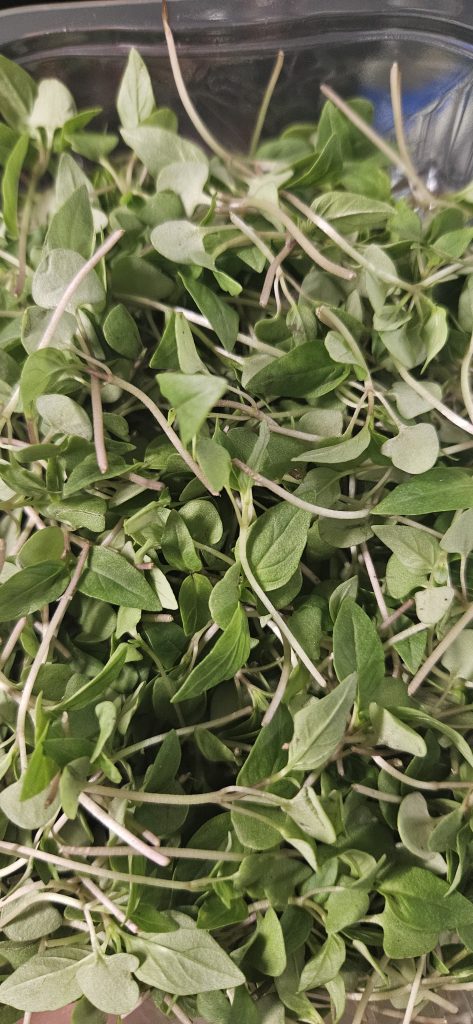 microherbs