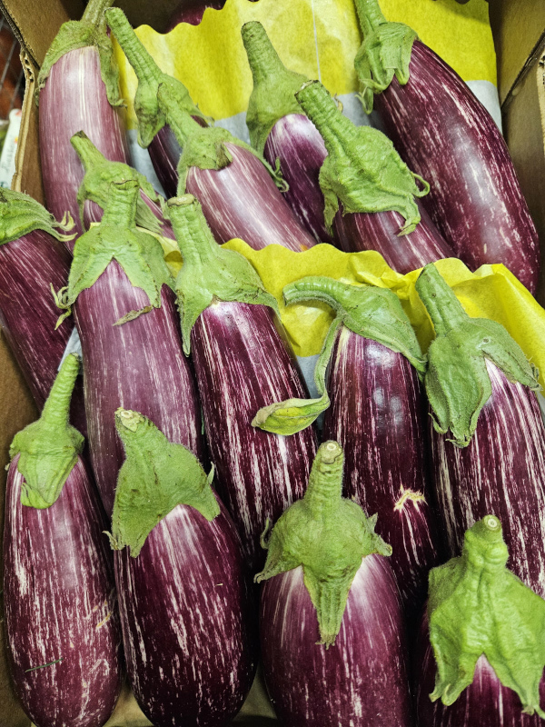 September seasonal vegetable update