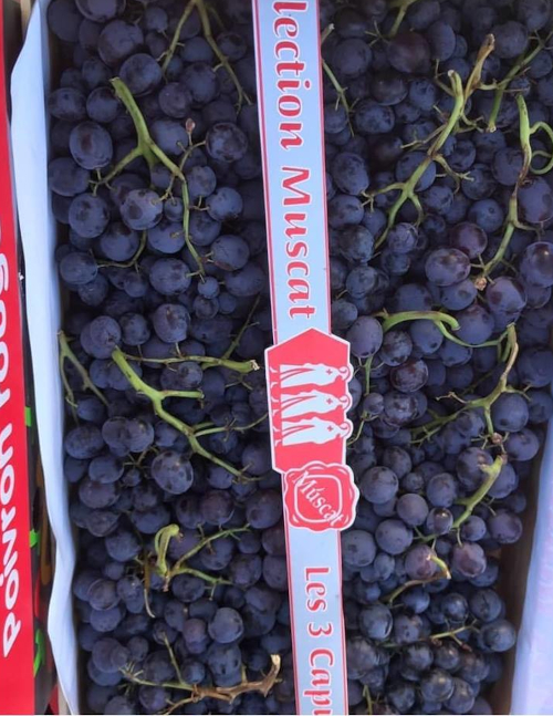 September seasonal fruit update: