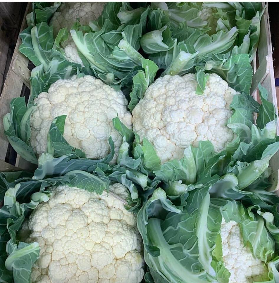 September seasonal vegetable update