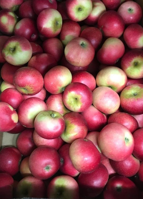 September seasonal fruit update: