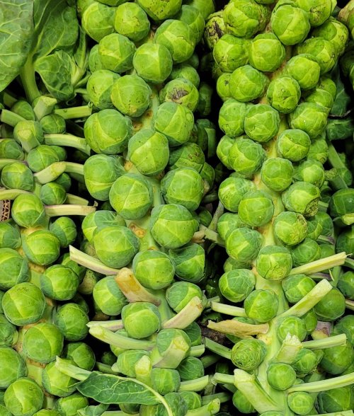 October's Seasonal Vegetables