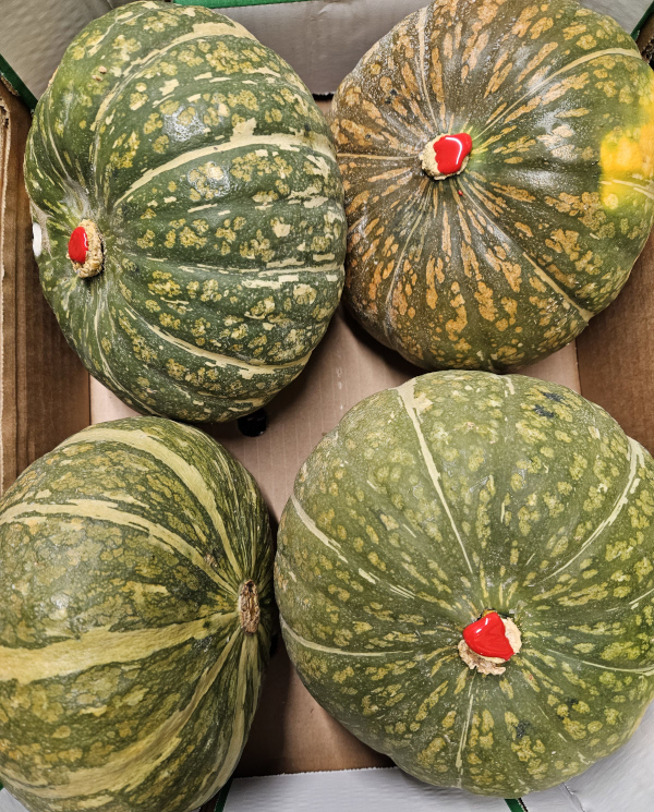 October's Seasonal Vegetables
