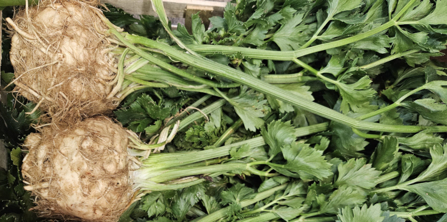 Leafy Celeriac