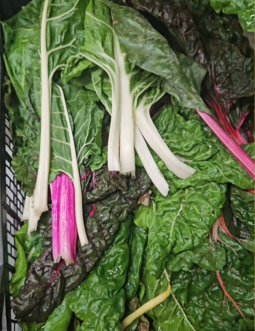 October's Seasonal Vegetables