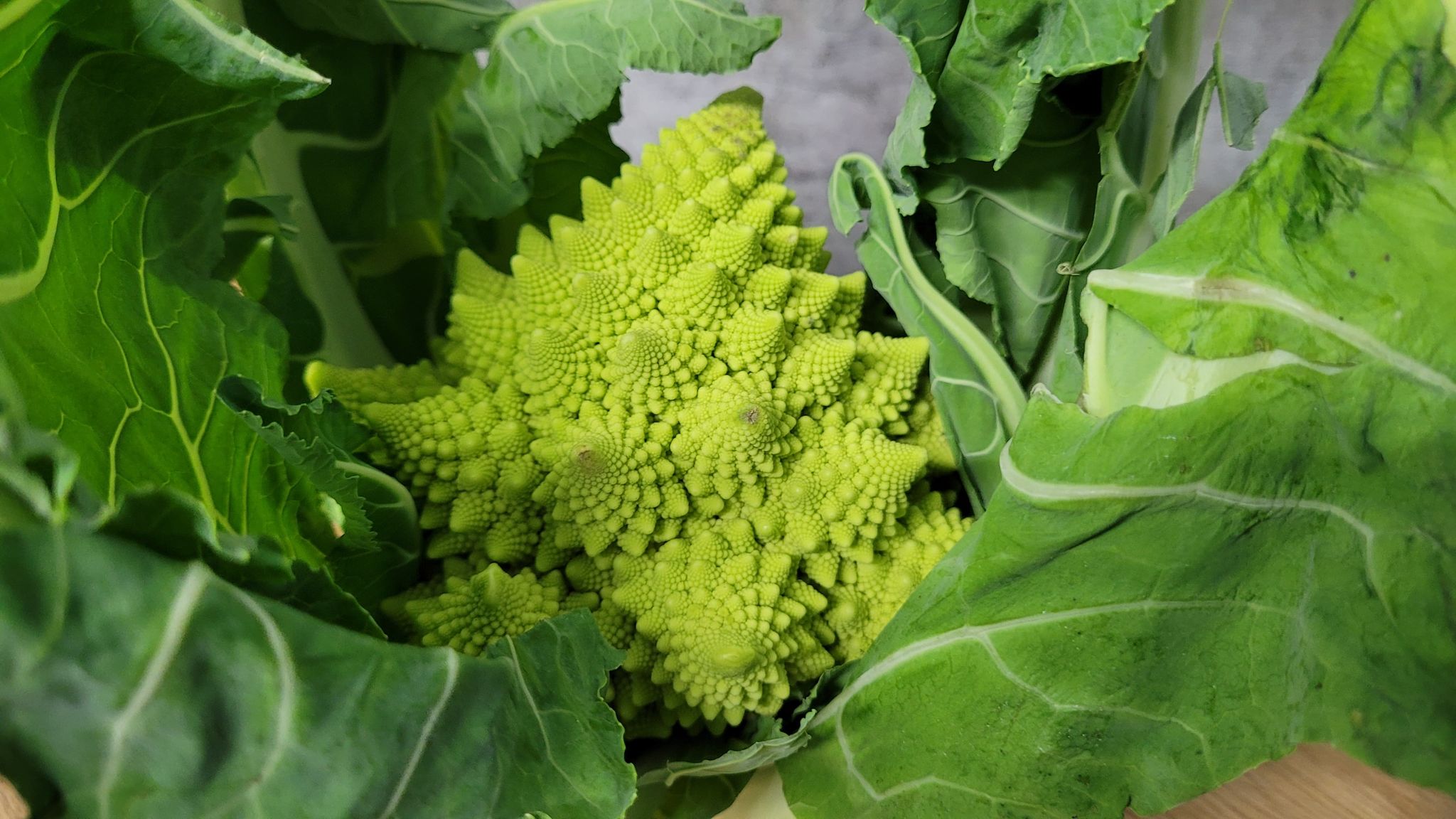 Romanesco