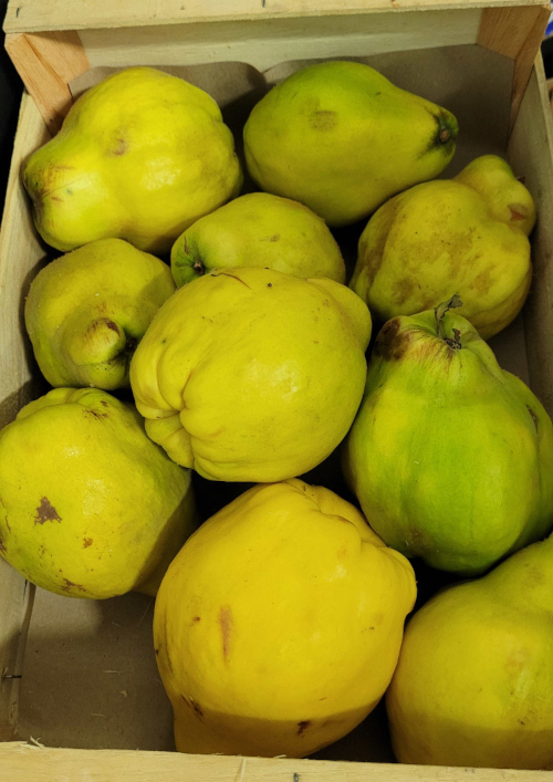 November's Seasonal British Fruits