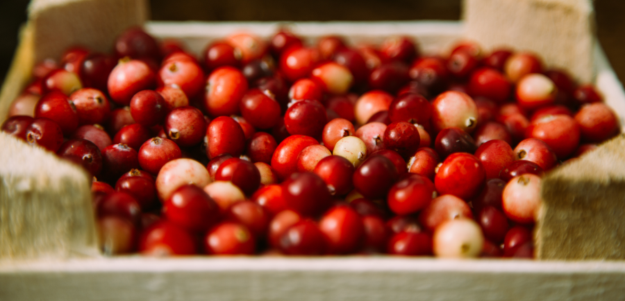 December Fruits