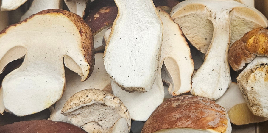 Sliced Cepes
