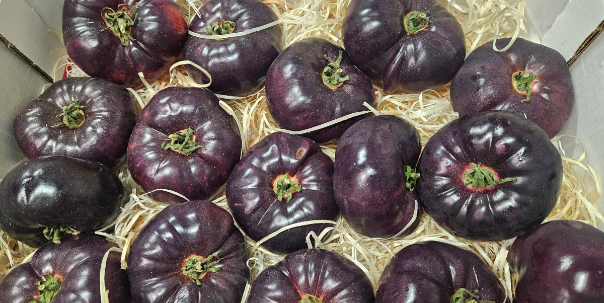 French Blue Tomatoes