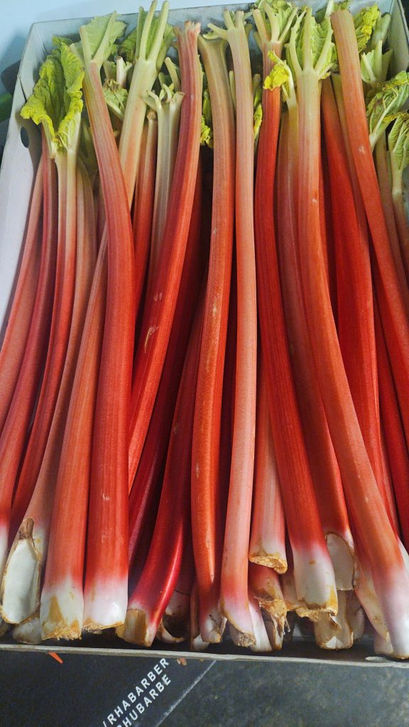 Seasonal British Fruits in February