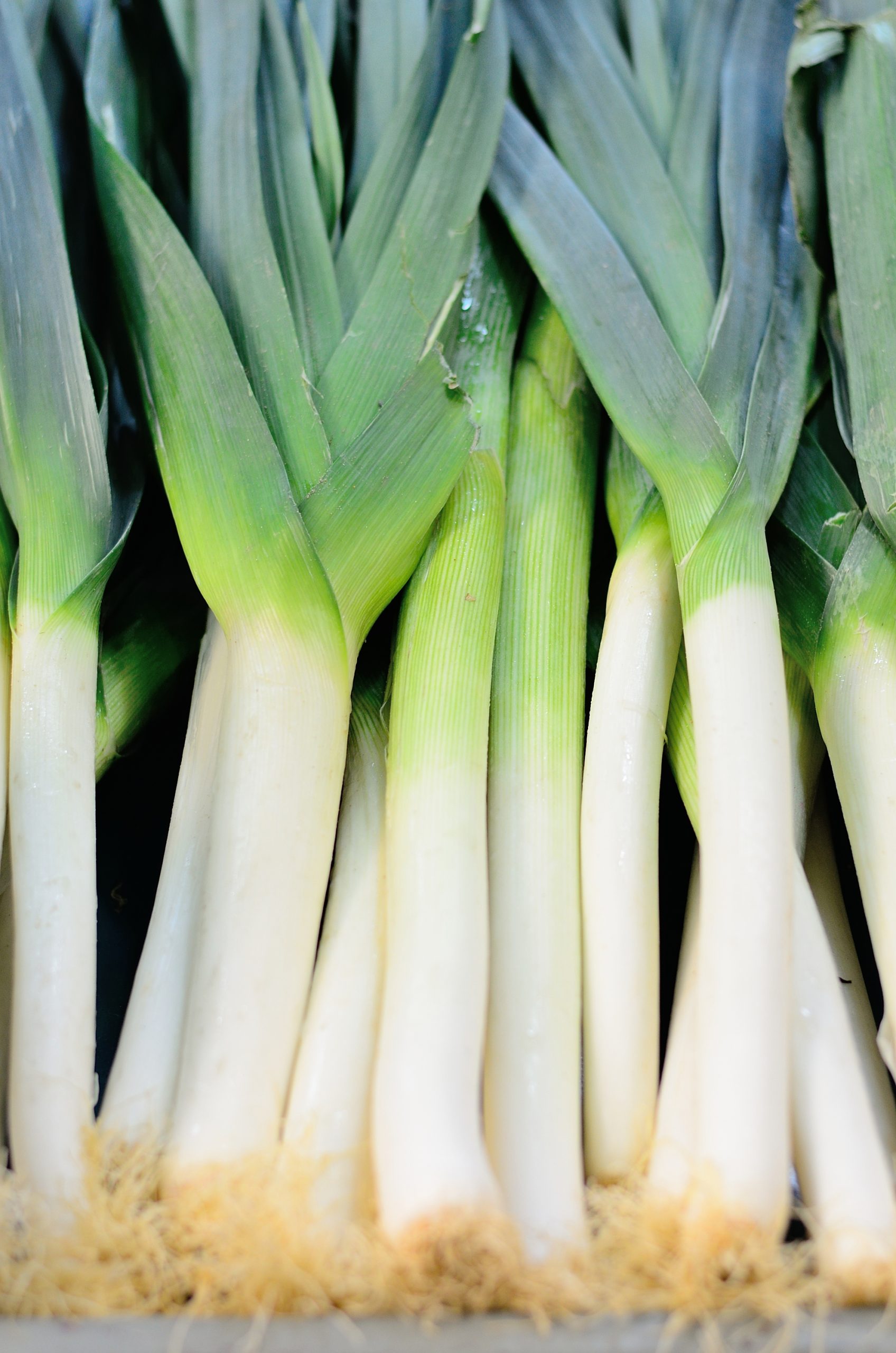 seasonal vegetables and salad leaves in January