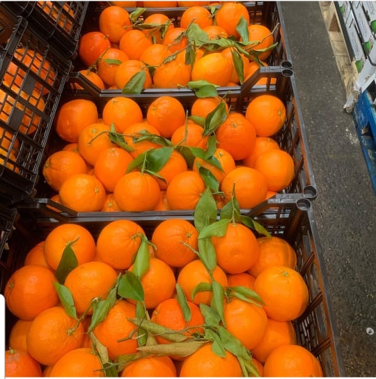Seasonal British Fruits in February