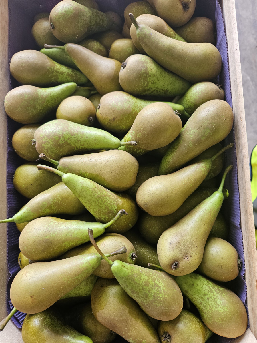 Seasonal British Fruits in February
