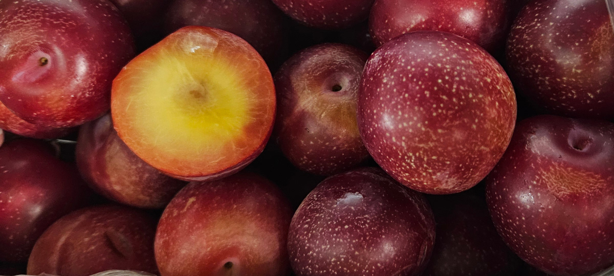 Cherry Plums