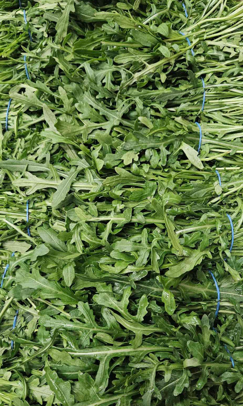 British Vegetables and Salad Leaves