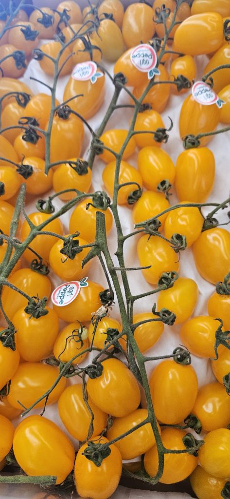 Italian Tomatoes