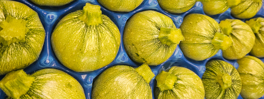 Italian Round Courgettes