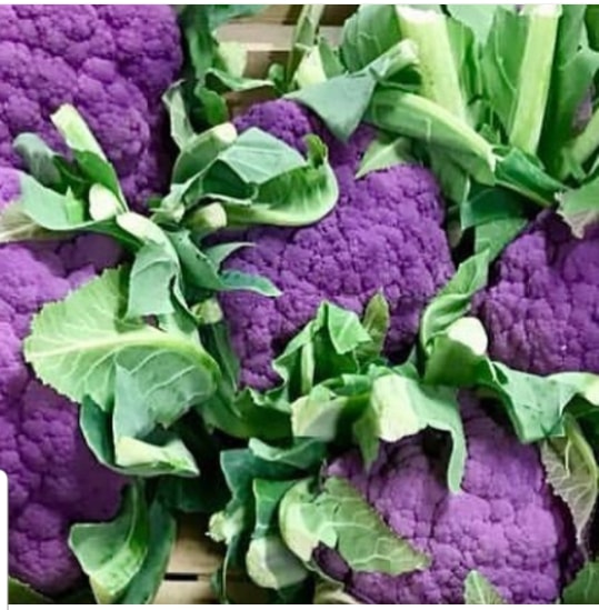 April's Seasonal British Vegetables & Salad Leaves