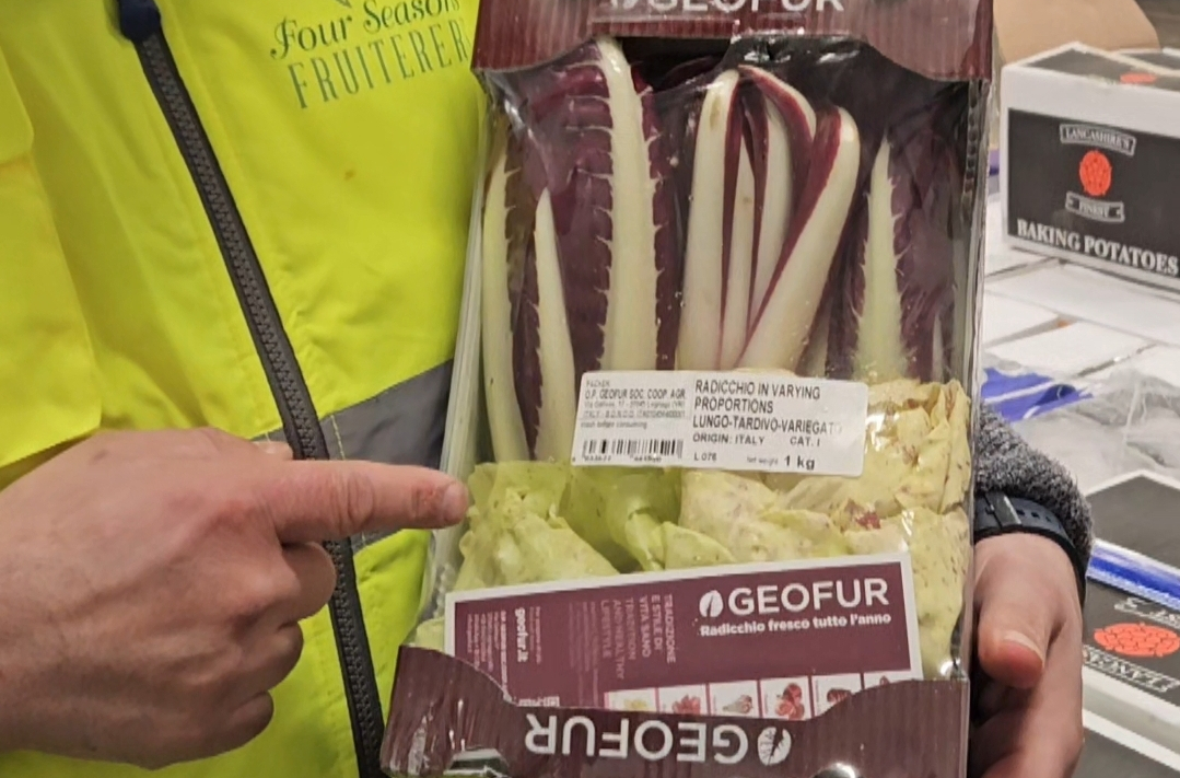 Italian Winter Salad Mix