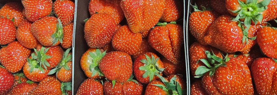 April’s Seasonal British Fruits
