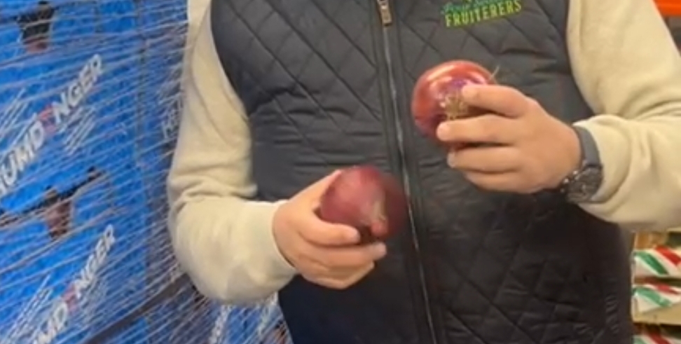 English Red Onions